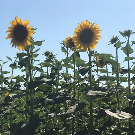 B&B Temenos Parma Kültér fotó