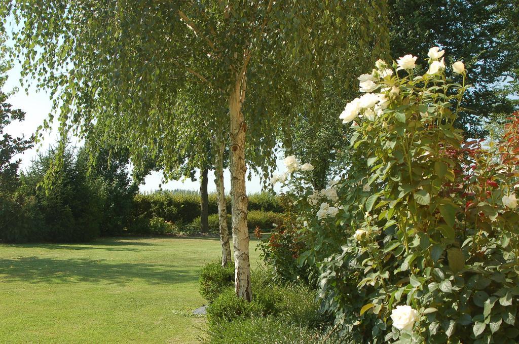 B&B Temenos Parma Kültér fotó