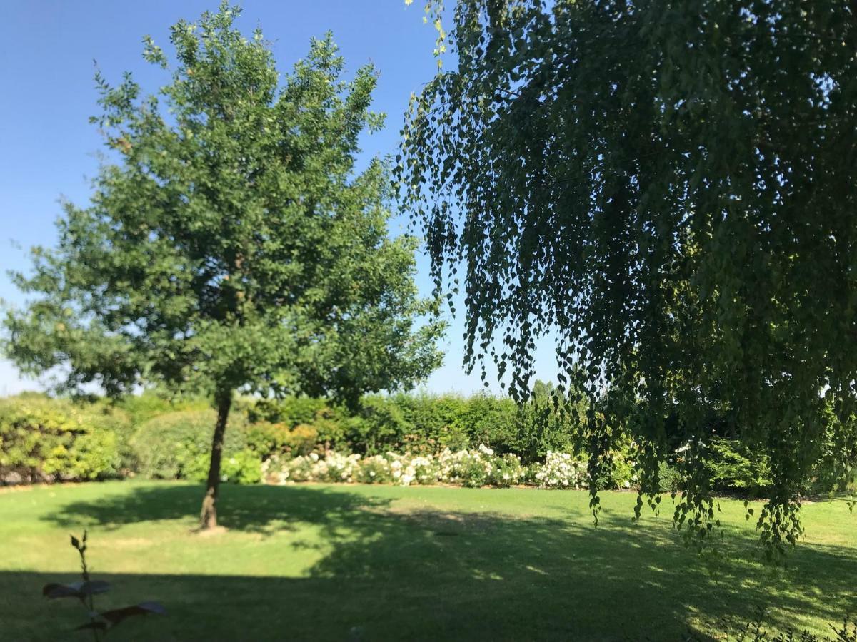 B&B Temenos Parma Kültér fotó